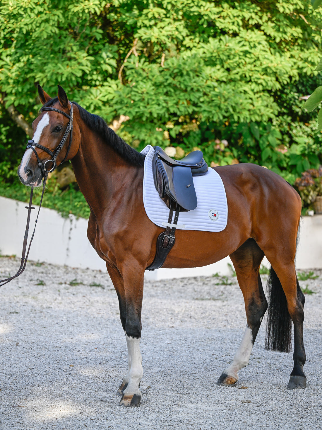 Tapis de selle Upstate DRESSAGE - Tommy Hilfiger