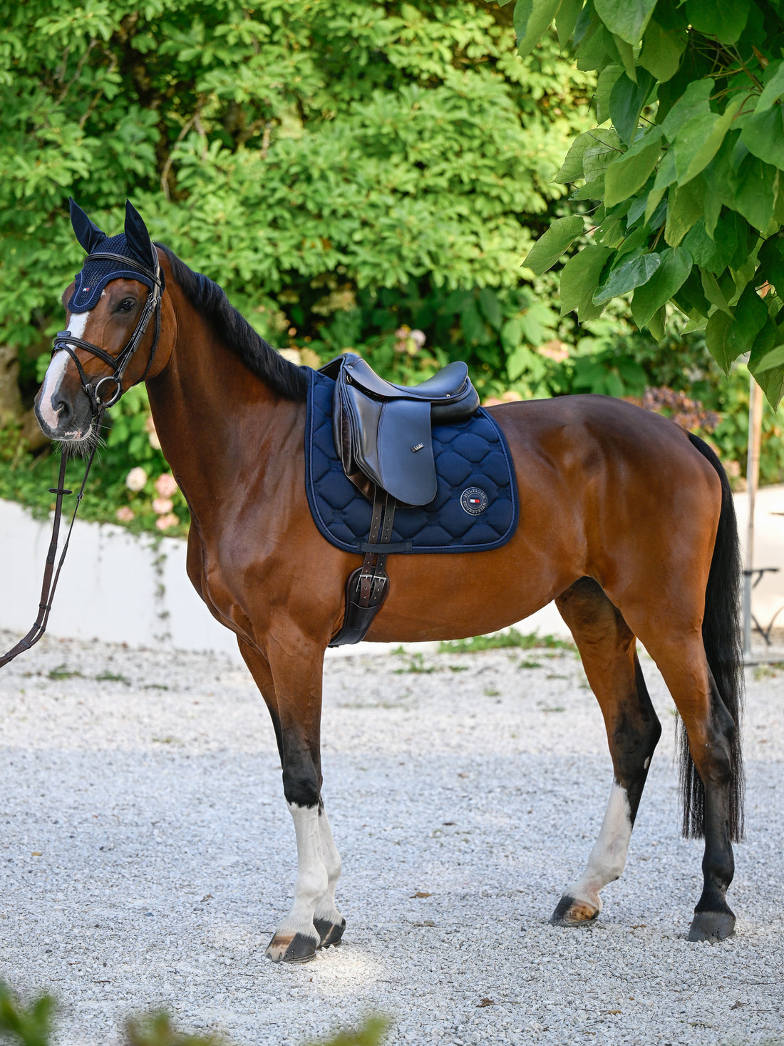 Tapis de selle Liberty DRESSAGE - Tommy Hilfiger