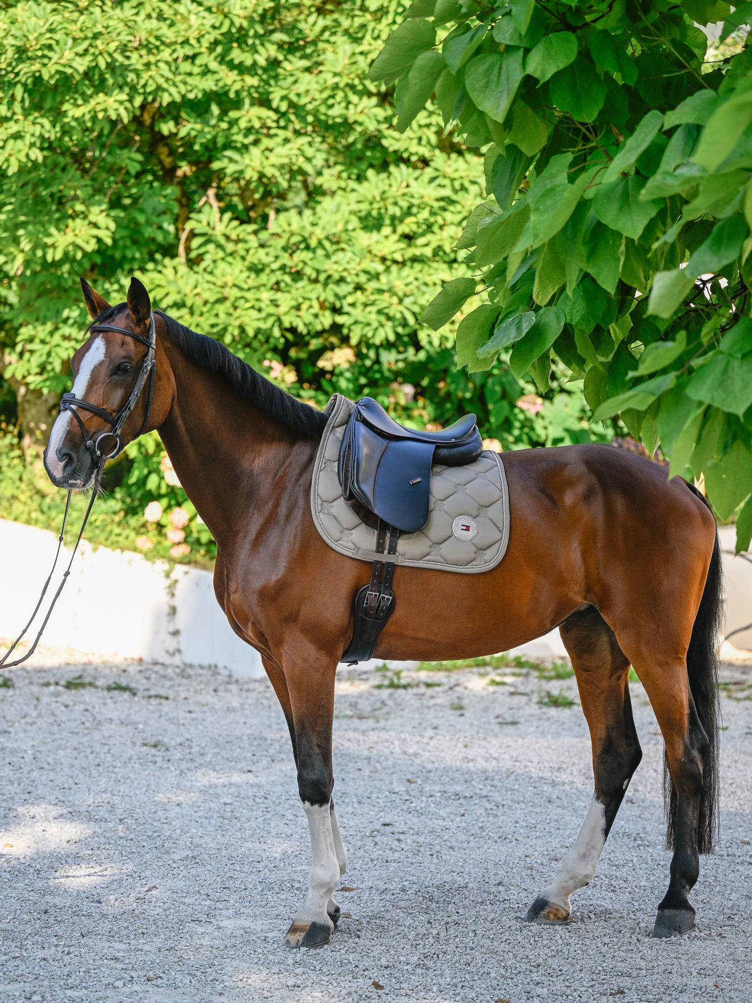 Tapis de selle Liberty DRESSAGE - Tommy Hilfiger