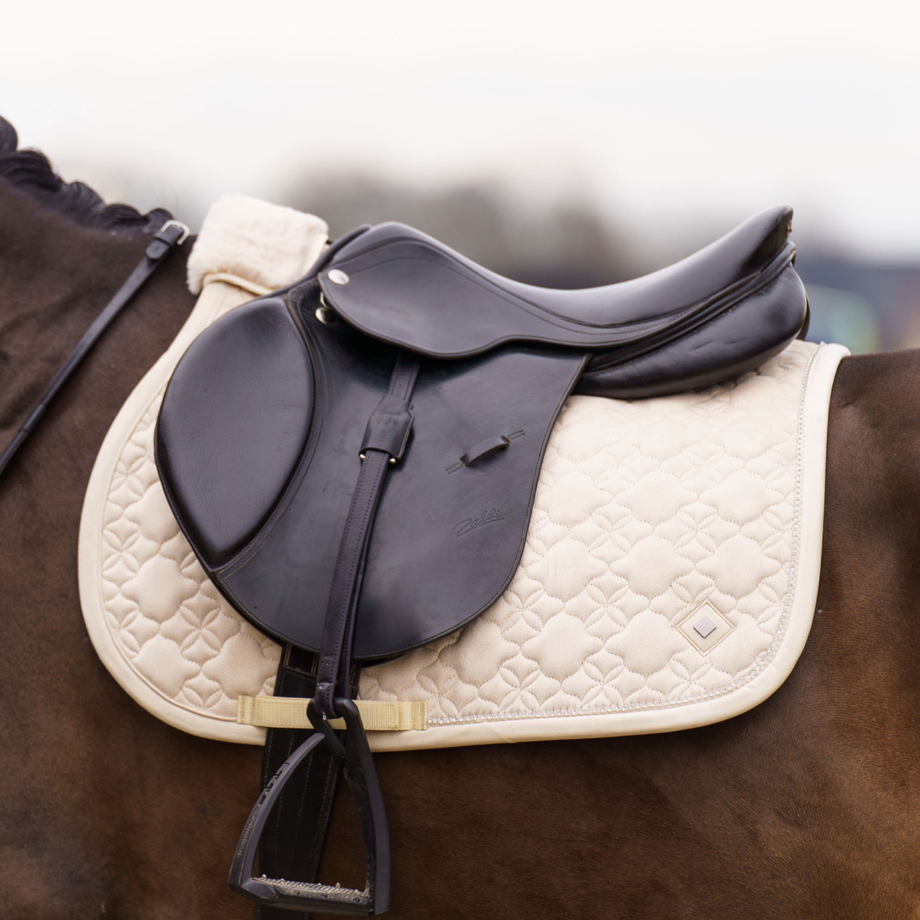 Tapis de selle Simone MIXTE  - IMPERIAL RIDING