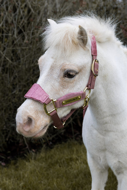 Licol Velvet Unicorn Glitter - Kentucky