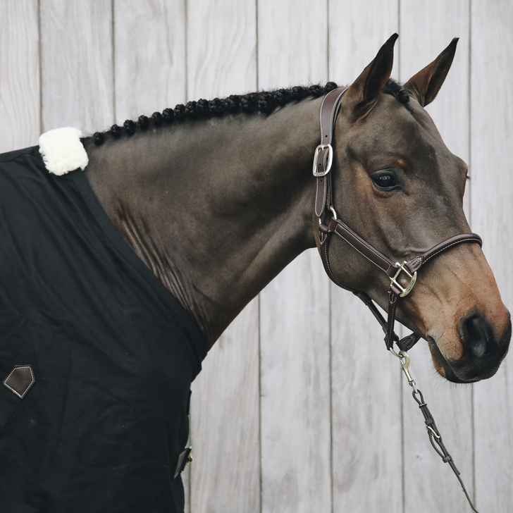Anatomical leather halter - Kentucky