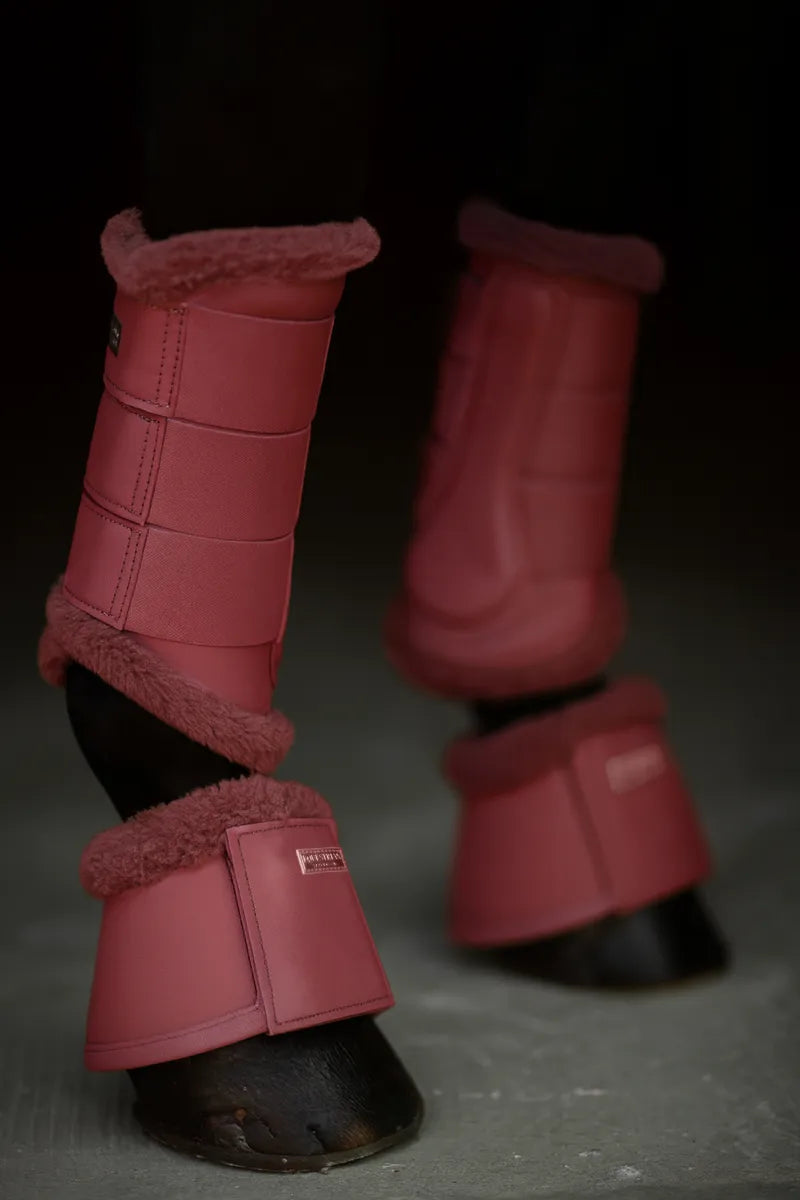 Guêtres de dressage Amber Rose - Equestrian Stockholm