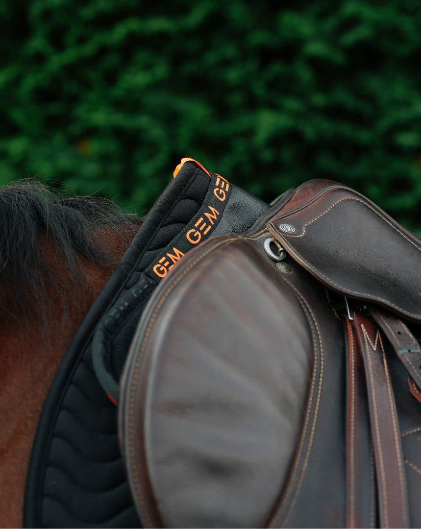 Amortisseur Oscar - GEM