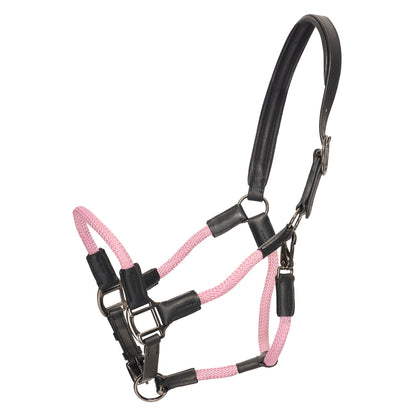Licol Franka - HV Polo