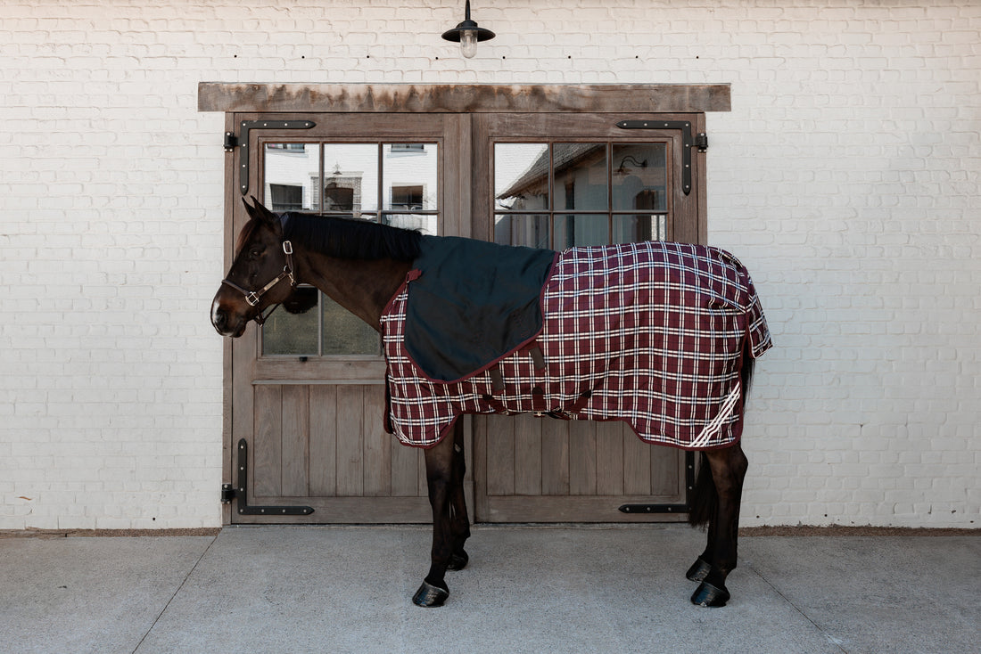 Couvre cou All Weather Imperméable Comfort 100g - Kentucky