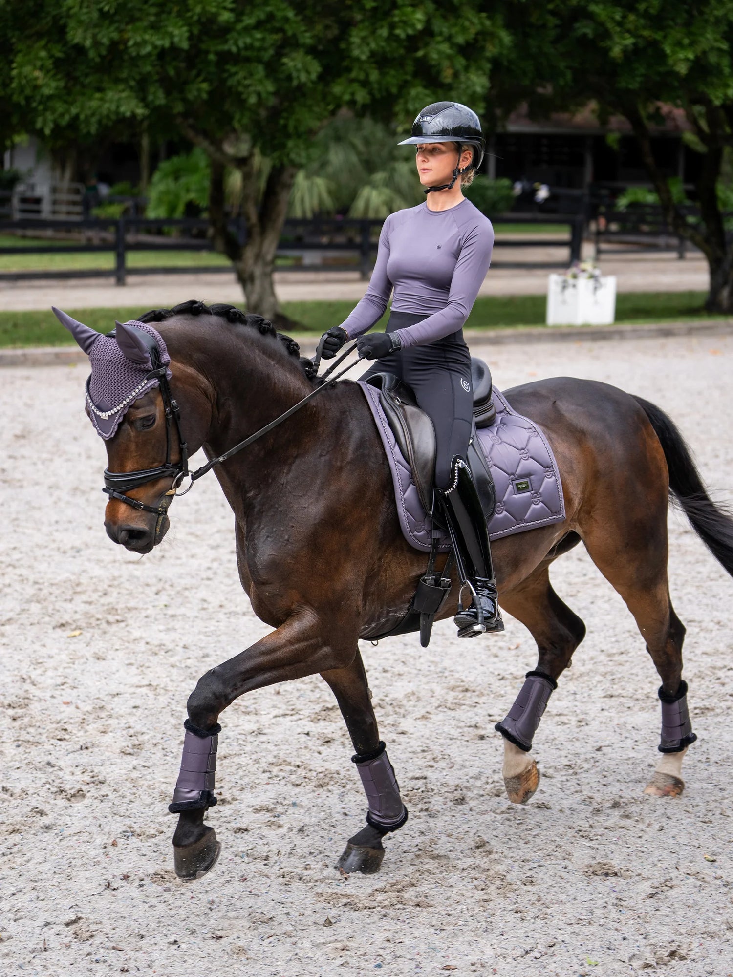 Tapis de selle Dark Violet DRESSAGE - Equestrian Stockholm