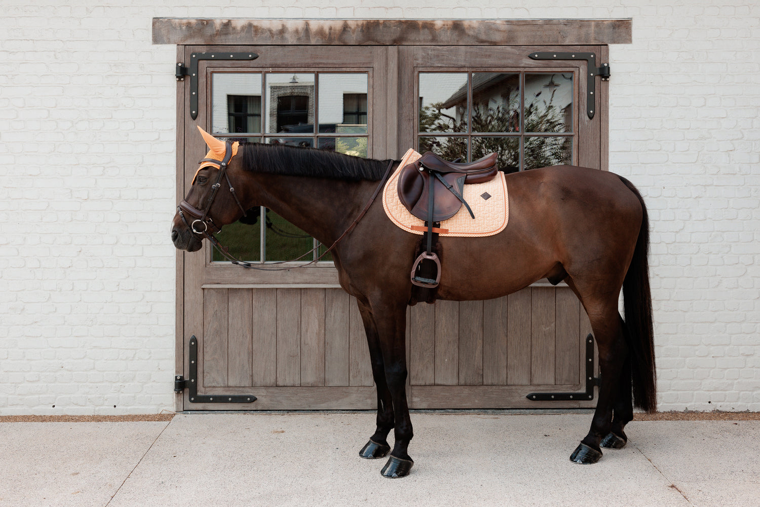 Tapis de Selle Velvet printing Orange MIXTE - Kentucky