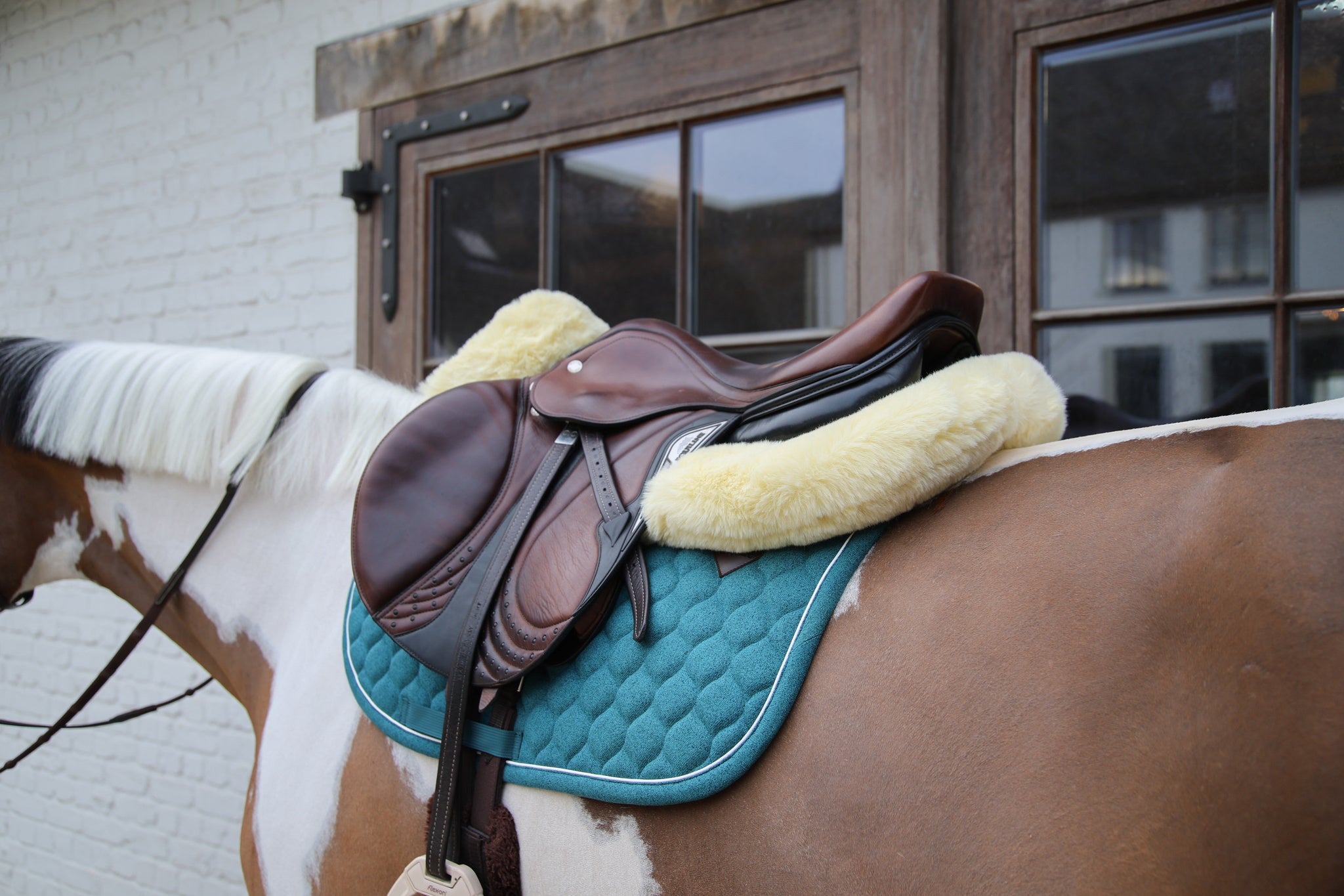 Tapis de selle Melange MIXTE - Kentucky