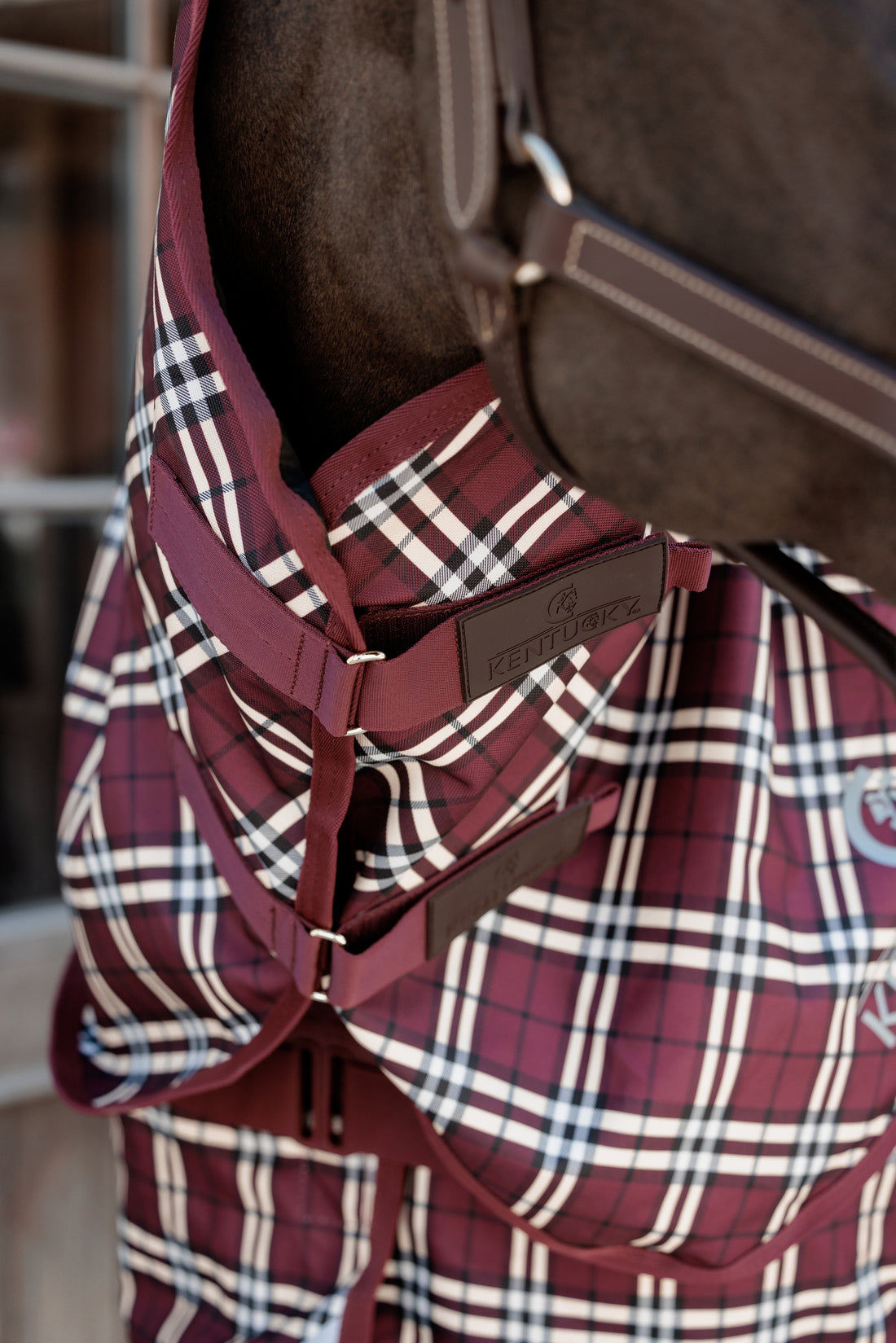 Couvre cou Imperméable All Weather  Comfort 0g - Kentucky