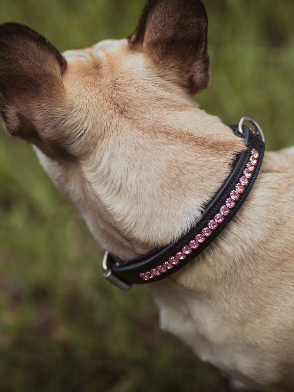 Collier de chien All Pink - Equestrian Stockholm