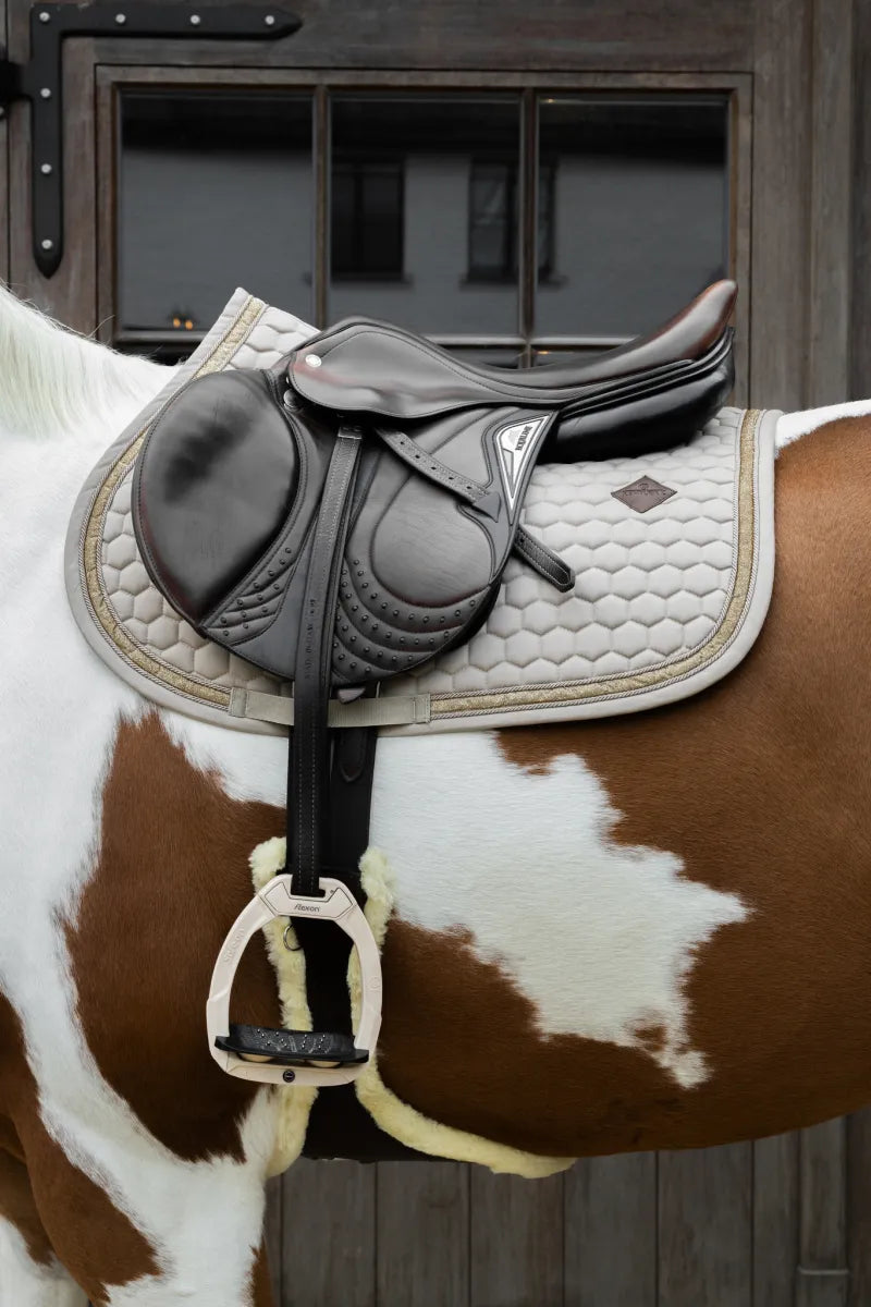 Horse Saddle Pad, Fly Veils, Tendon Boots Rainbow Shiny Horse Saddle Pad, Fly Veils, Tendon Boots Rainbow Shiny