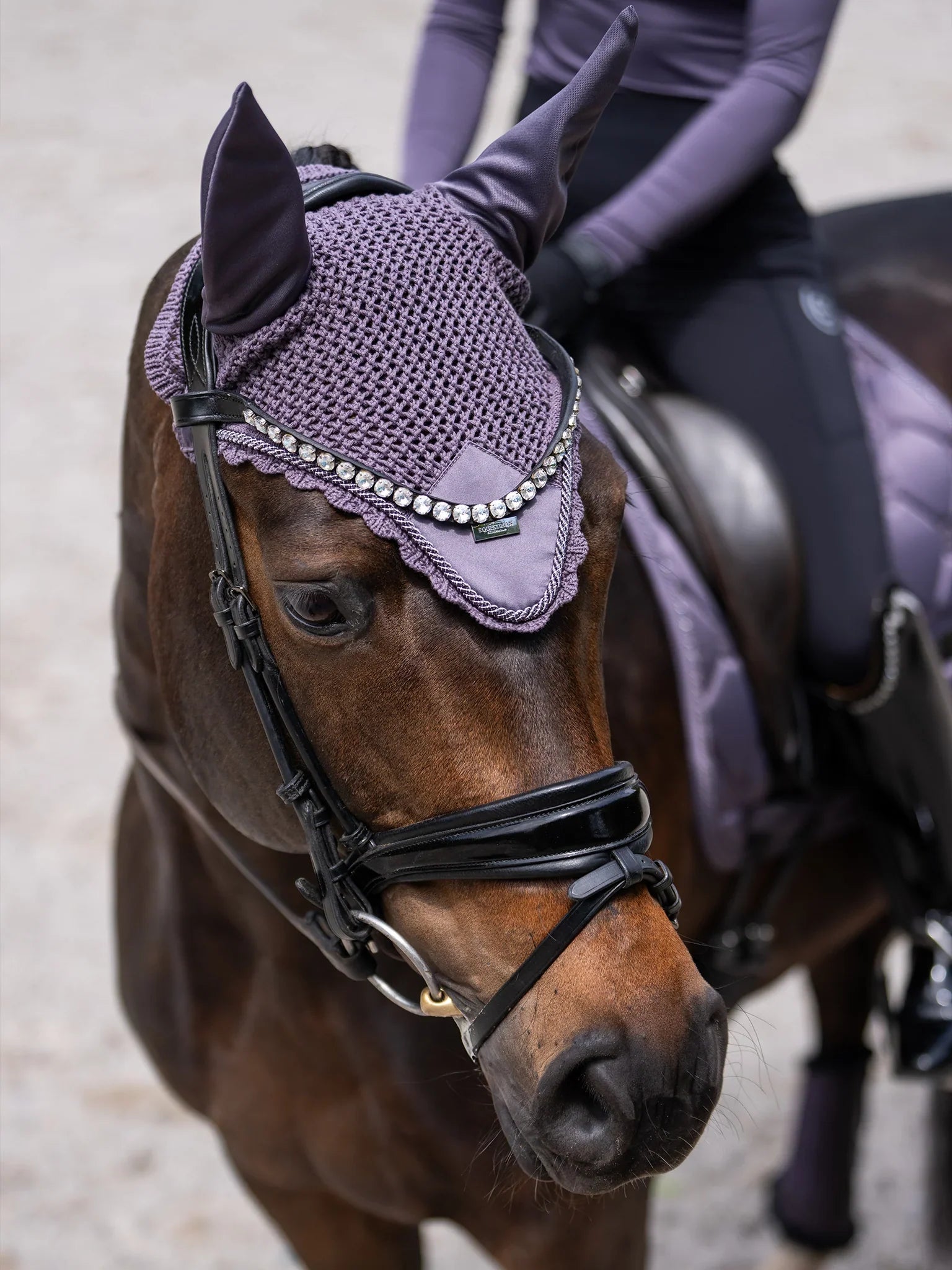 Bonnet anti-mouches Dark Violet - Equestrian Stockholm