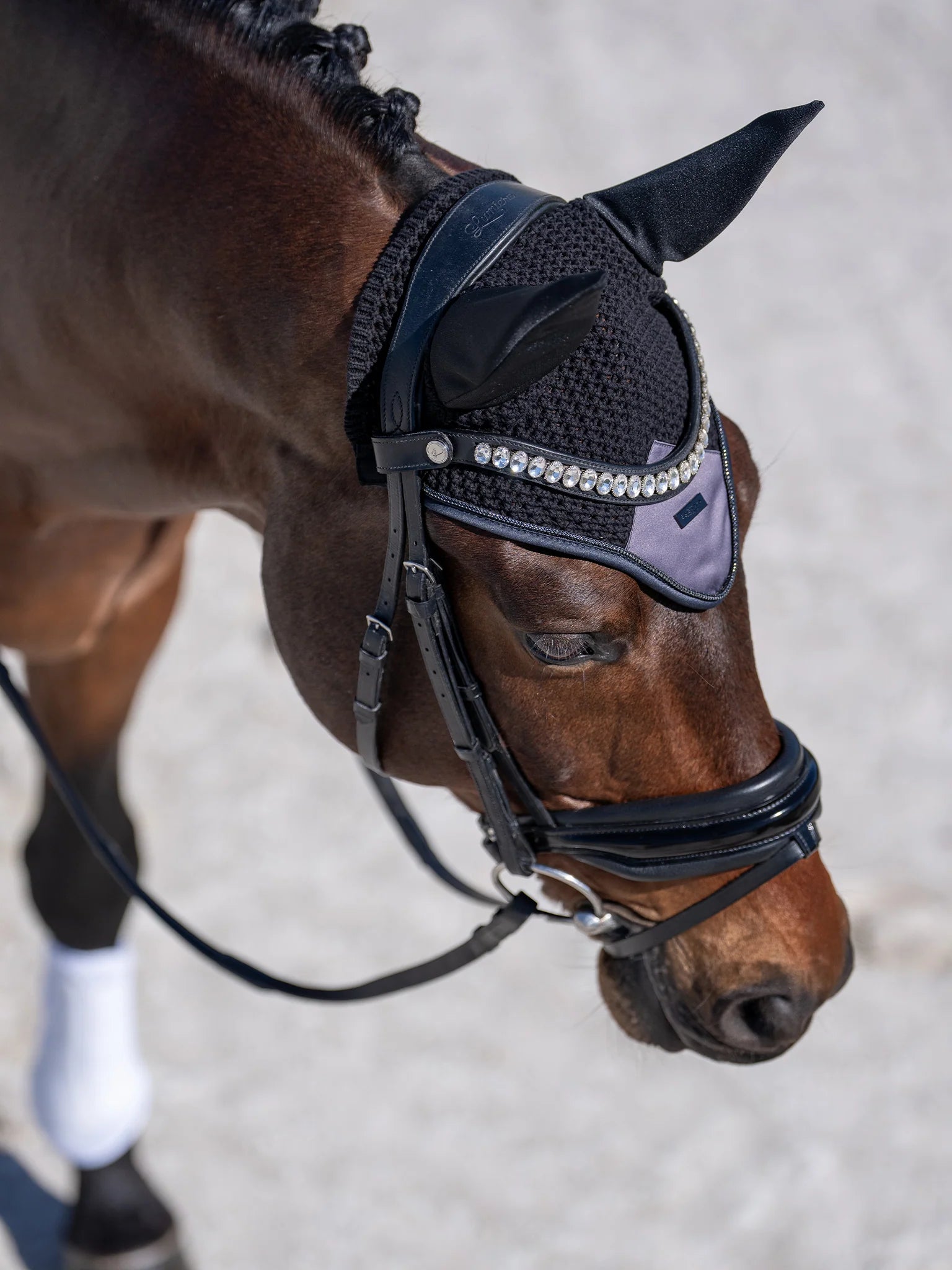 Bonnet anti-mouches Modern Dark Violet - Equestrian Stockhom