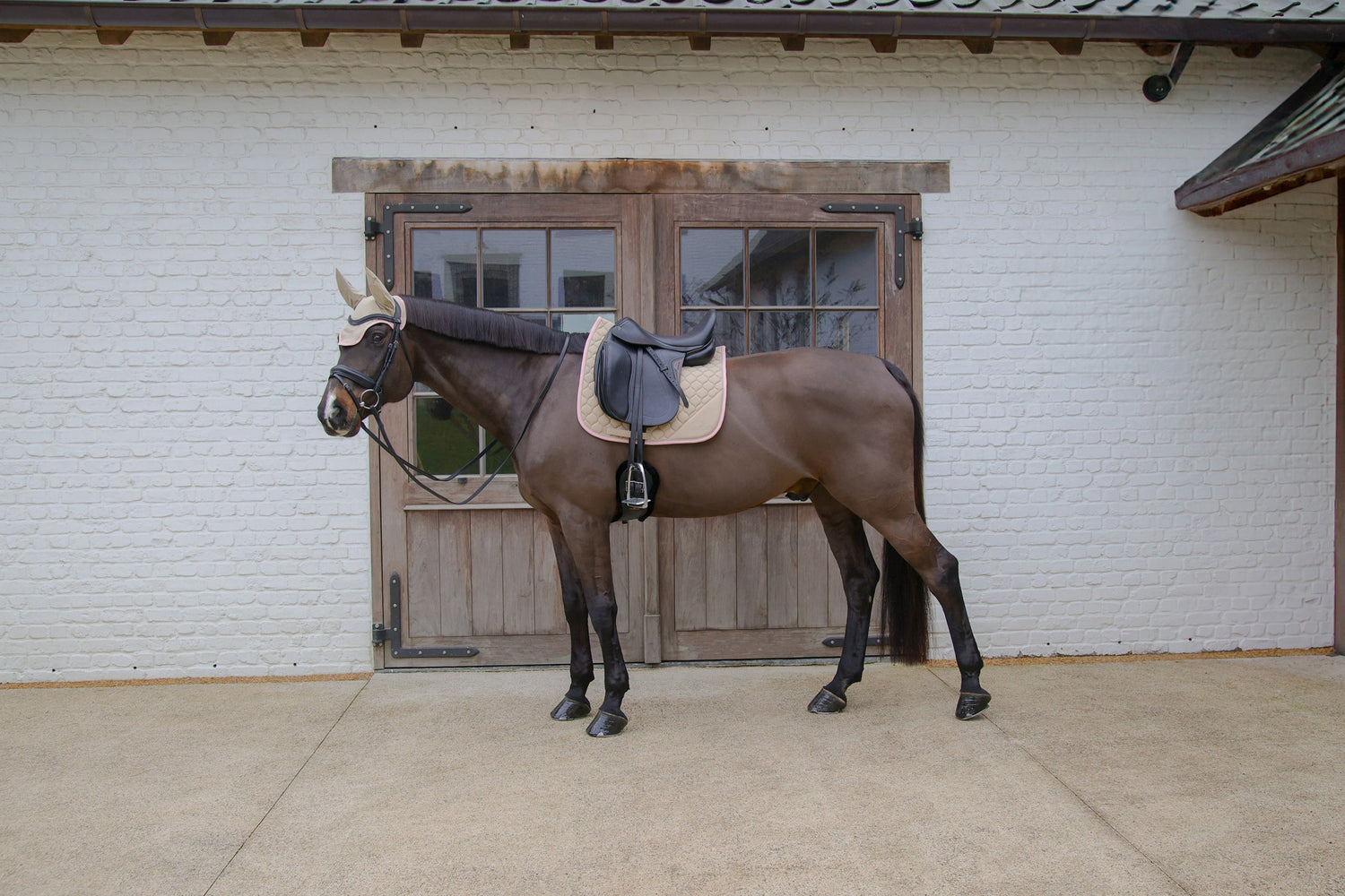 Tapis Softshell Onion Quilt DRESSAGE - Kentucky