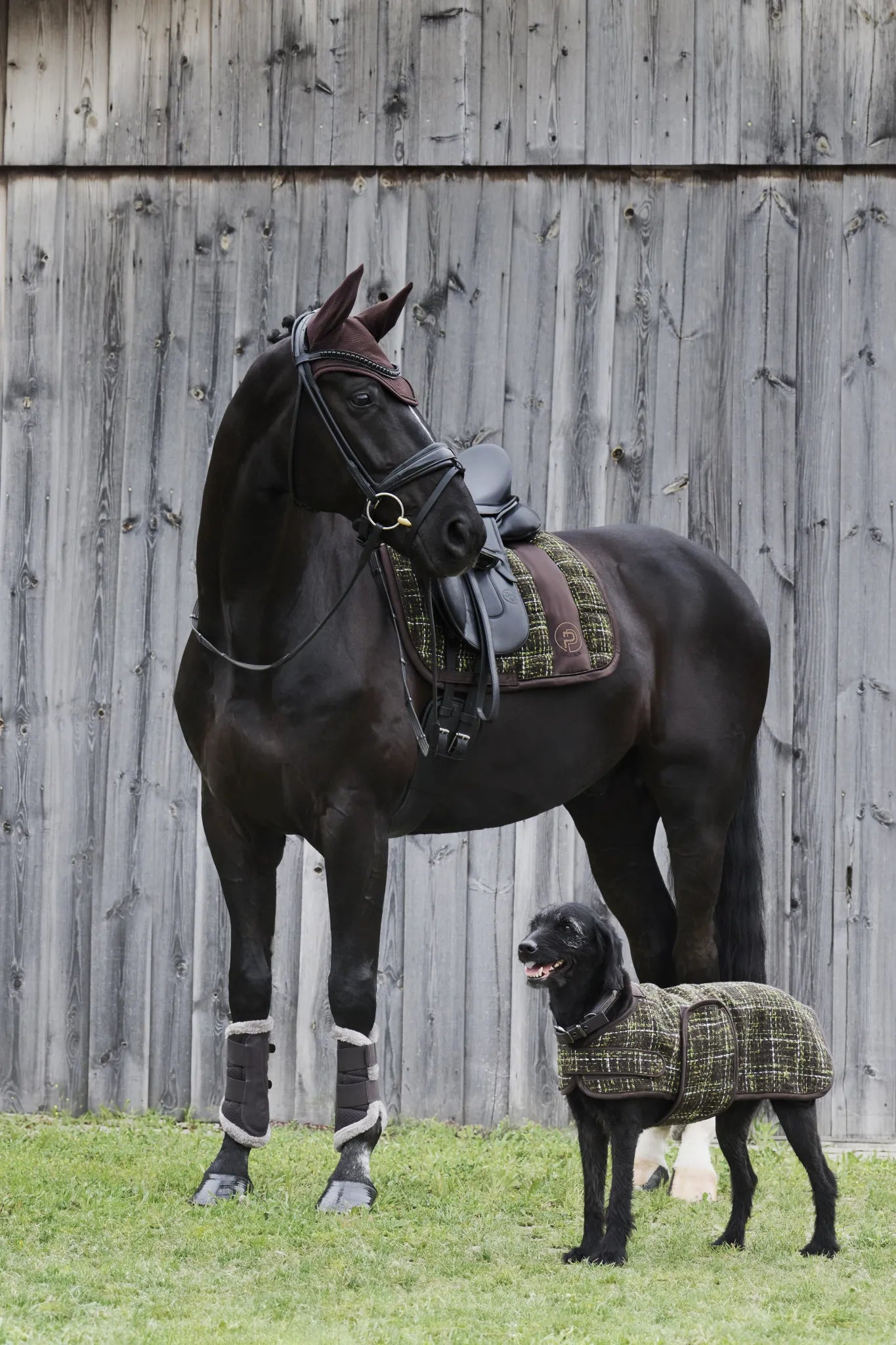 Big Square Bouclé PLATINUM 2024 saddle pad - Eskadron