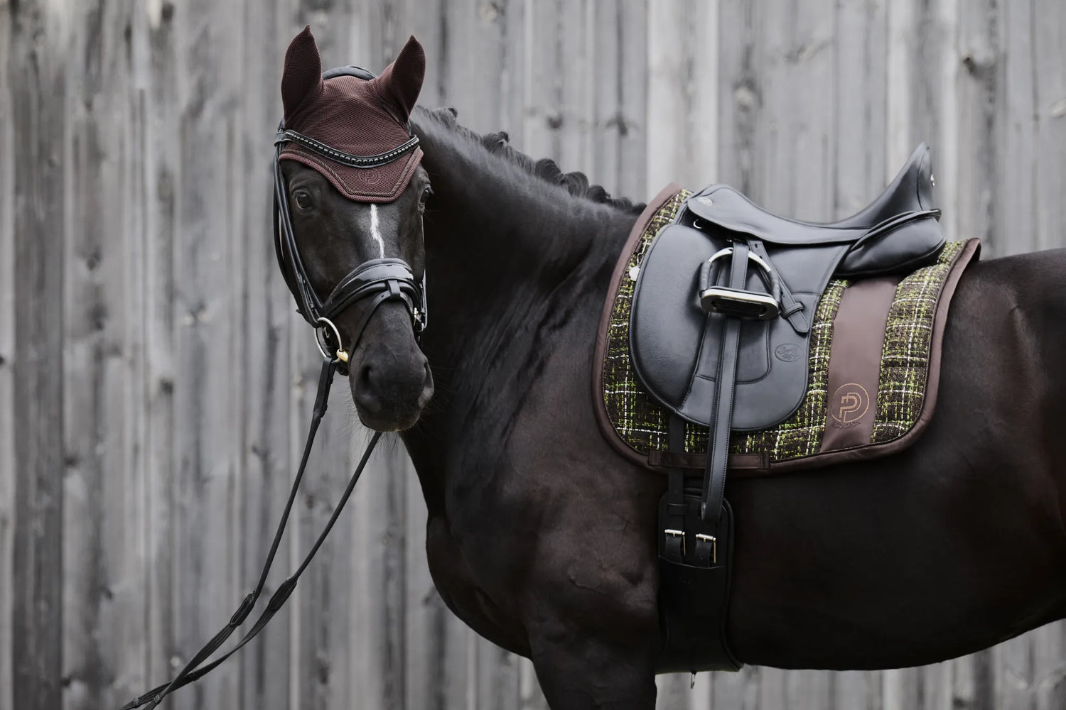 Big Square Bouclé PLATINUM 2024 saddle pad - Eskadron