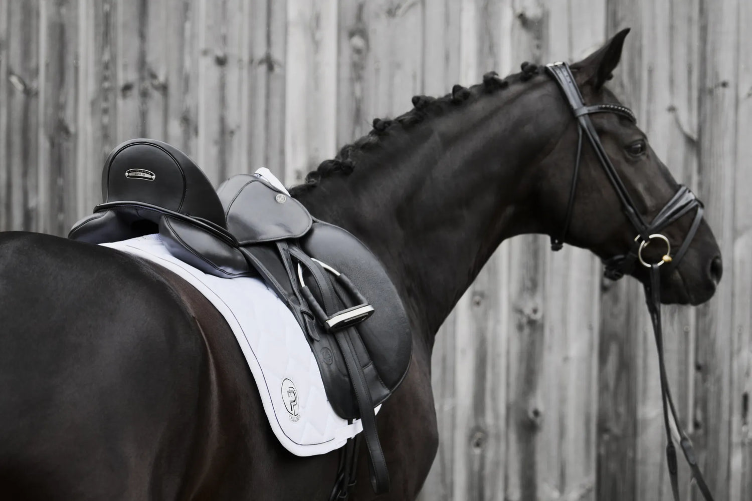 Emblem PLATINUM 2024 Softshell saddle pad - Eskadron