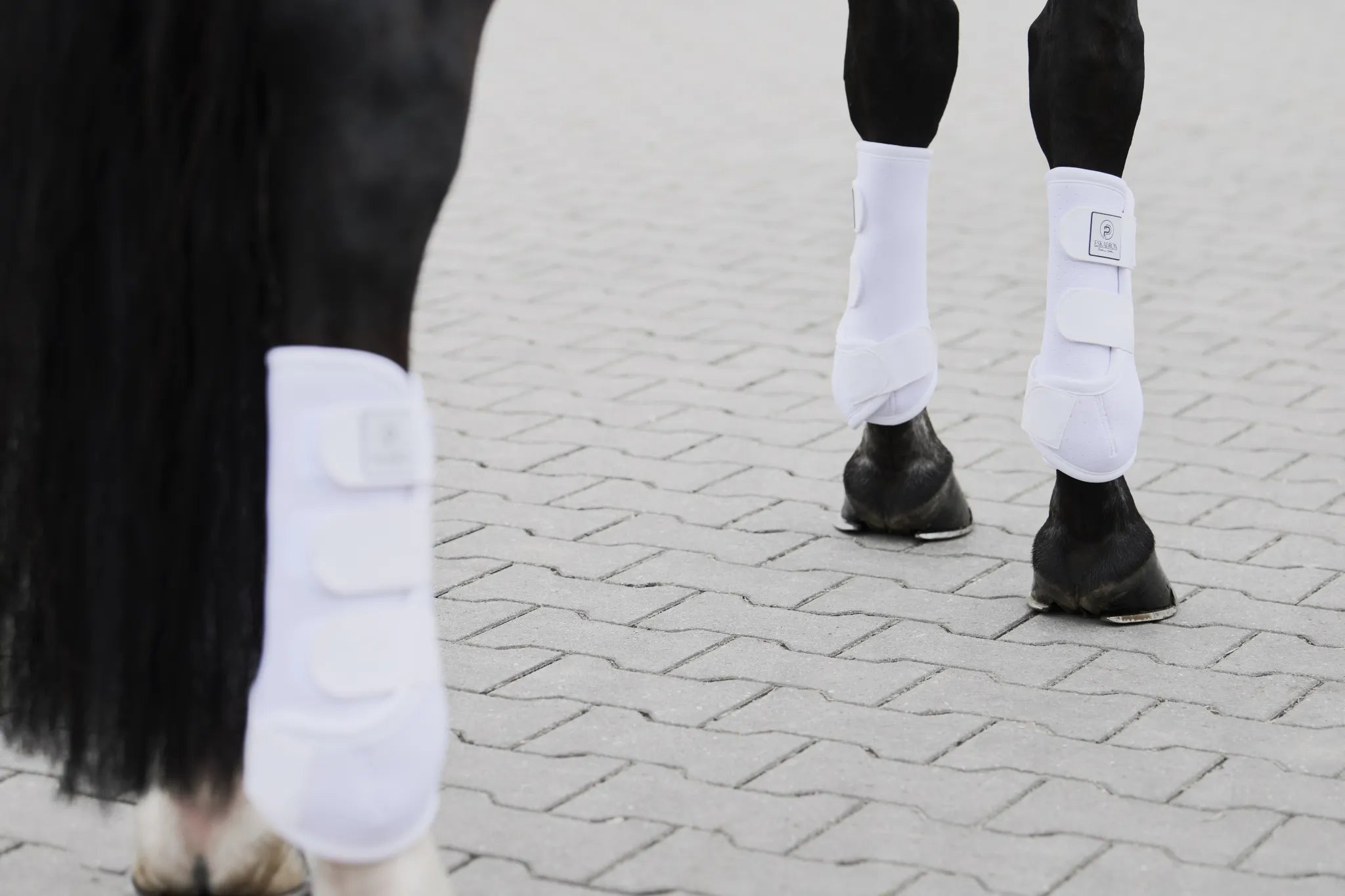 Guêtres Pro Dressage Arrières PLATINUM 2024 - Eskadron