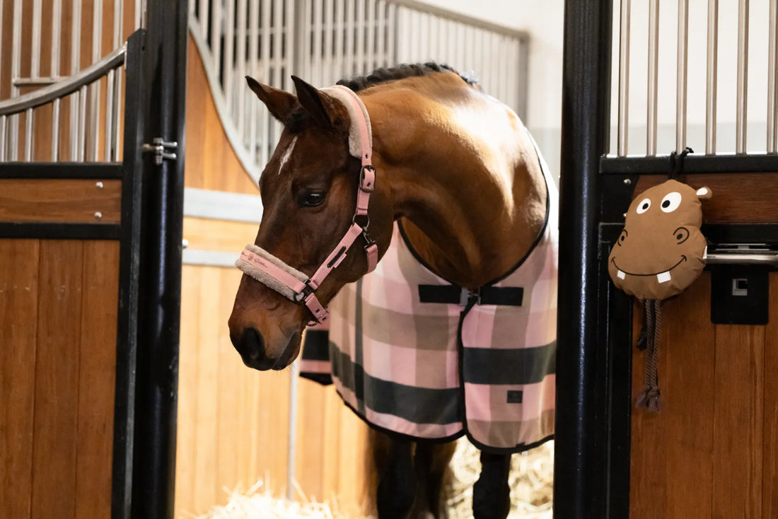 Couverture polaire Fleece Check PLATINUM 2025 - Eskadron