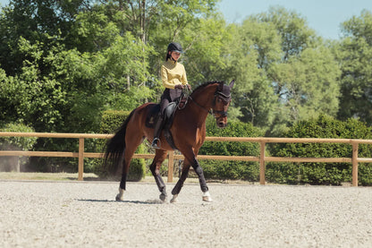 Haut manches longues zip Heritage 2025 - Eskadron