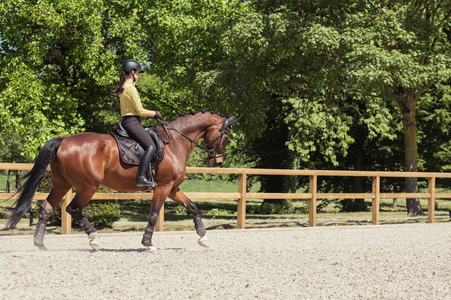 Tapis de selle BICROSS MATTGLOSS Dressage Heritage 2025 - Eskadron