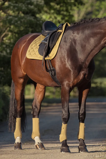 Tapis de selle GLOSSY Dressage Heritage 2025 - Eskadron