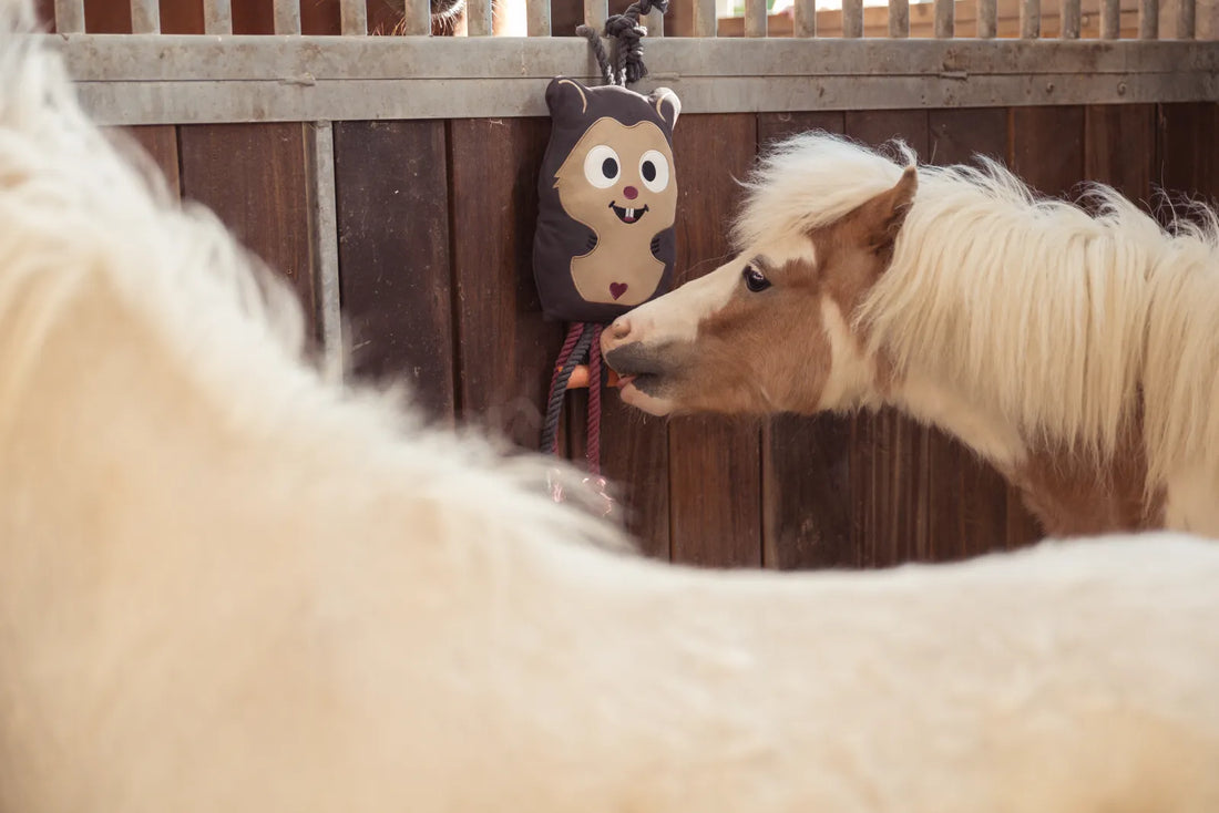 Jouet pour cheval Hamster Heritage 2025 - Eskadron