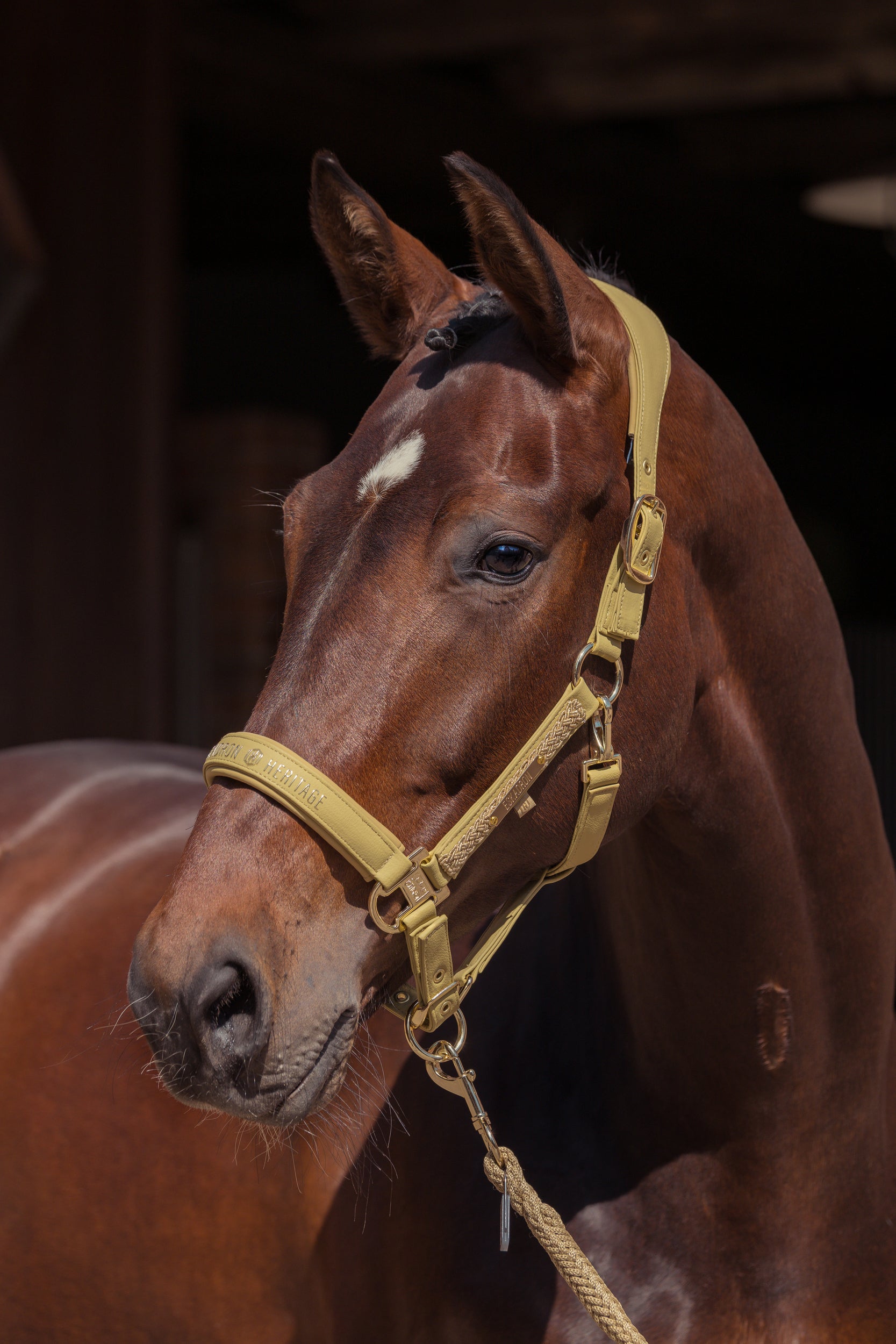 Licol Faux Leather Double pin Heritage 2025 - Eskadron