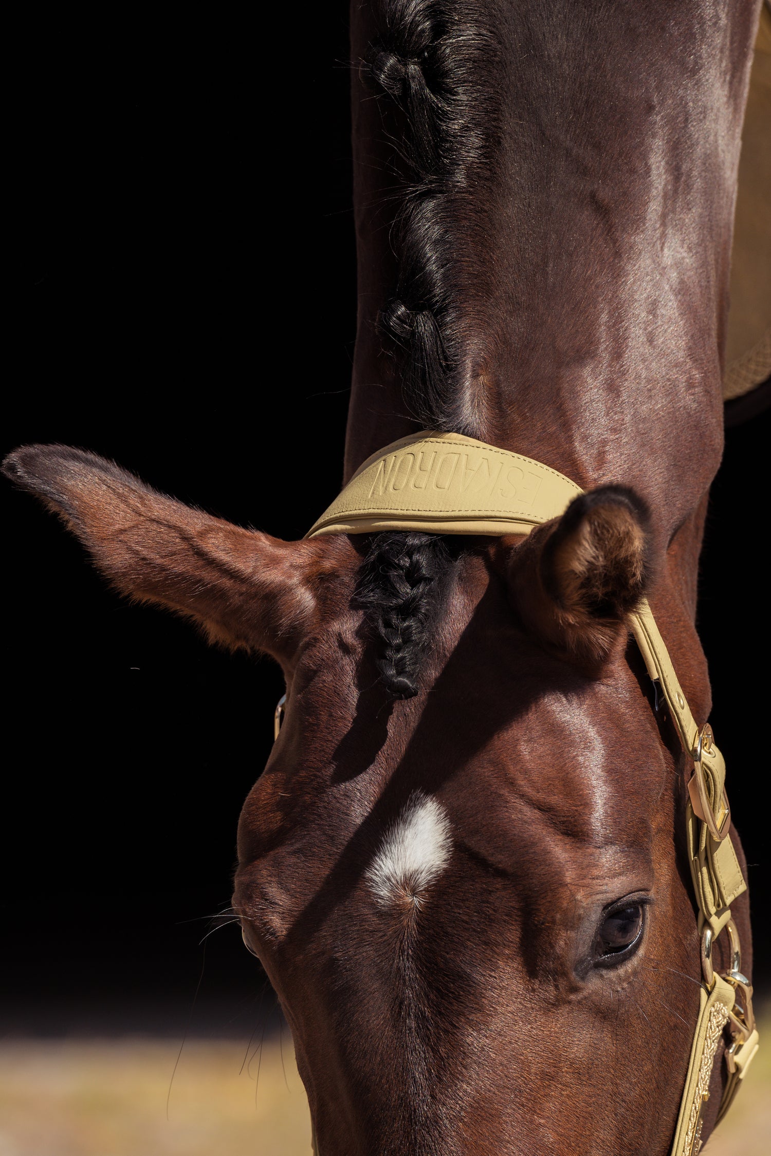 Licol Faux Leather Double pin Heritage 2025 - Eskadron