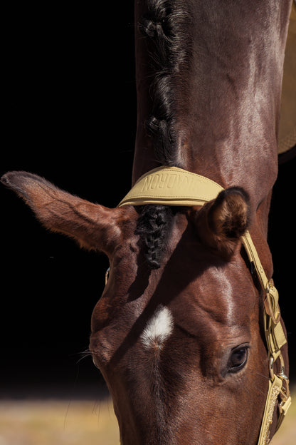 Licol Faux Leather Double pin Heritage 2025 - Eskadron