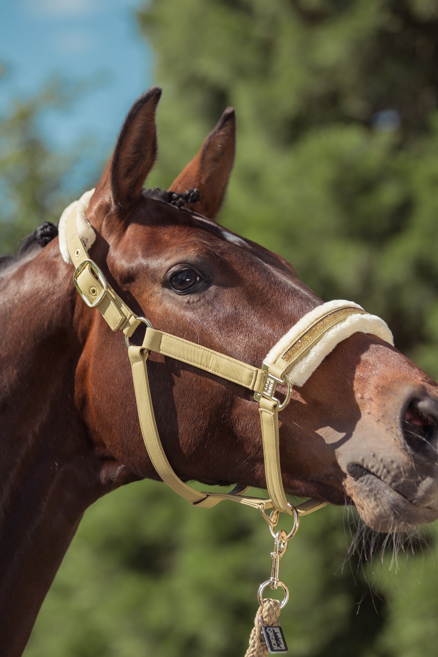 Licol Faux Leather Jewel fausse fourrure Heritage 2025 - Eskadron