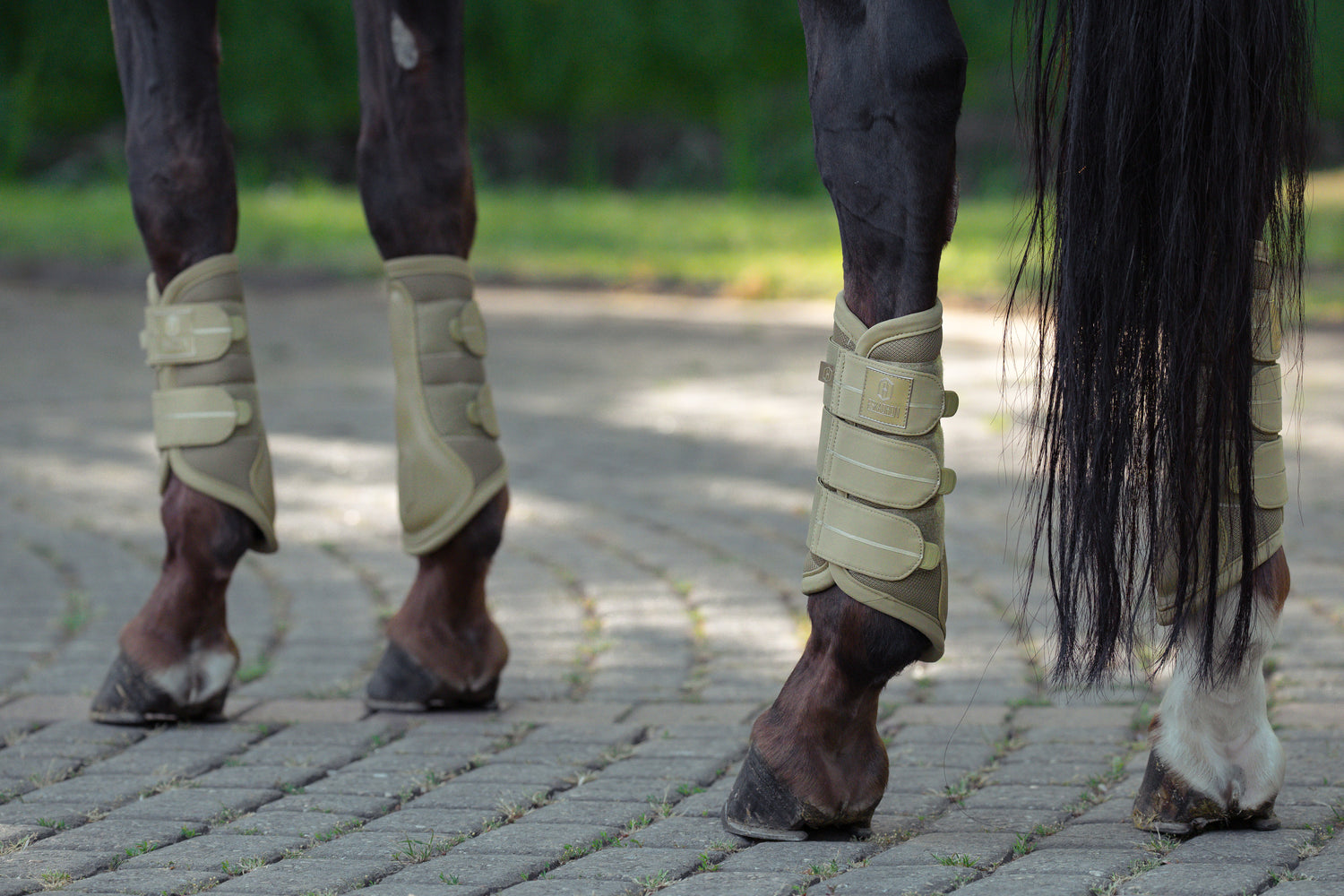 Guêtres Mesh Heritage 2025 - Eskadron