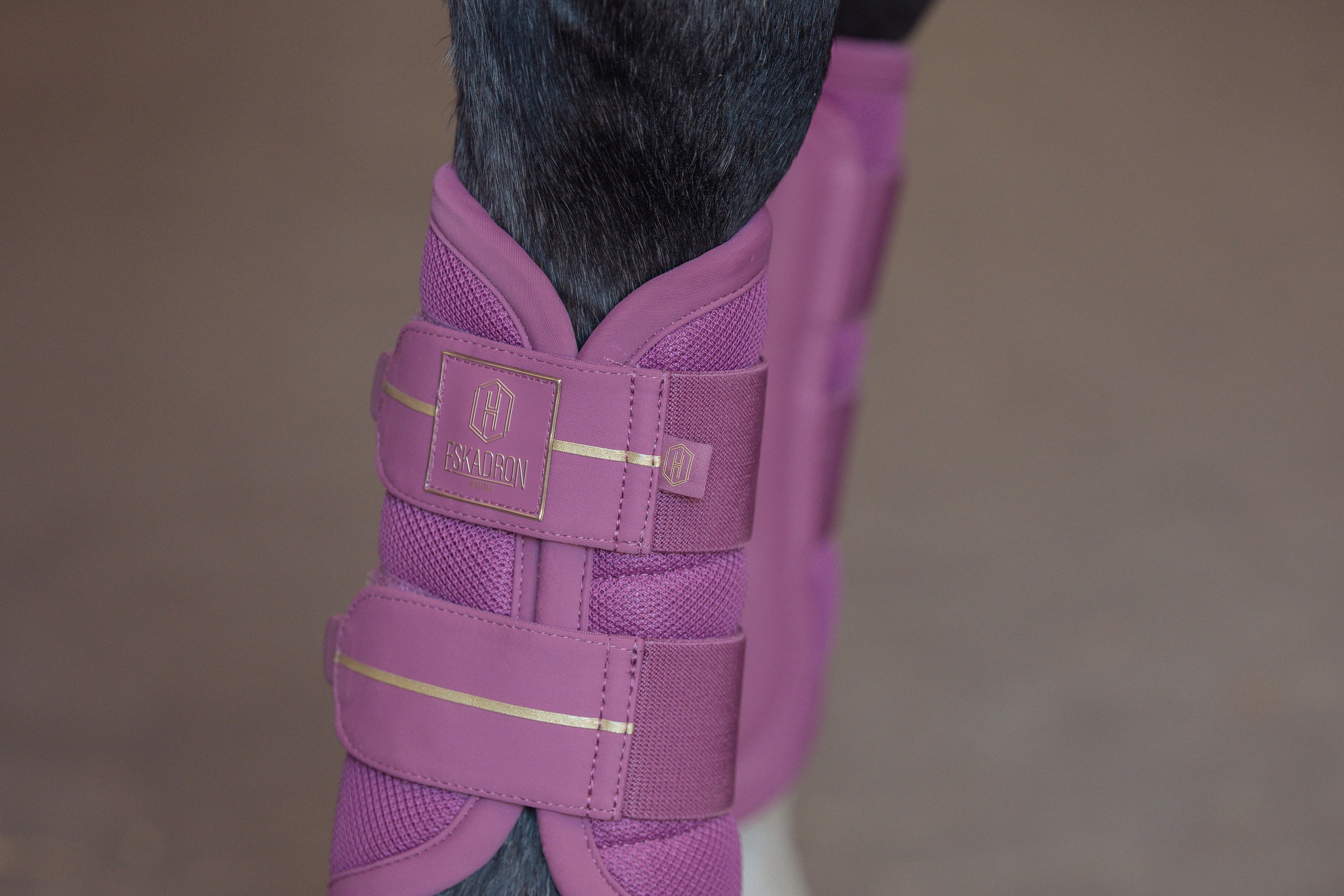 Guêtres Mesh Heritage 2025 - Eskadron