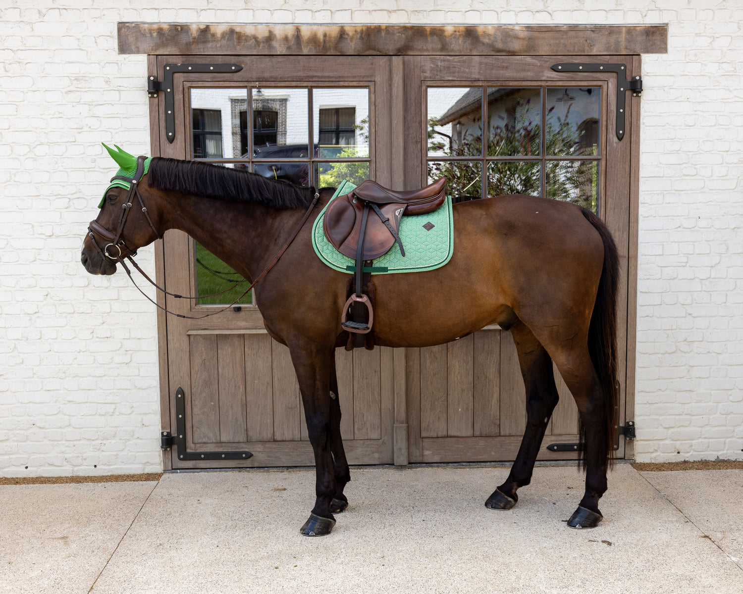 Tapis de Selle Velvet printing Vert MIXTE - Kentucky