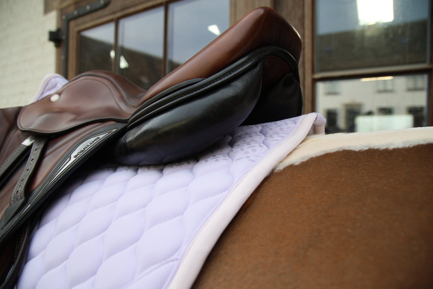 Tapis de selle Softshell Onion Quilt MIXTE - Kentucky