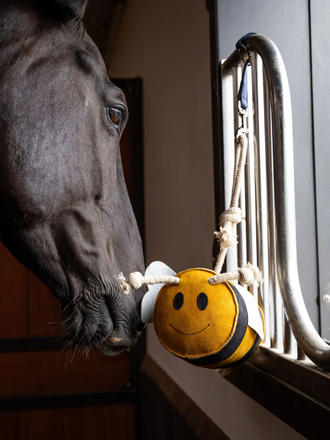 Jouet pour cheval Abeille - LEMIEUX