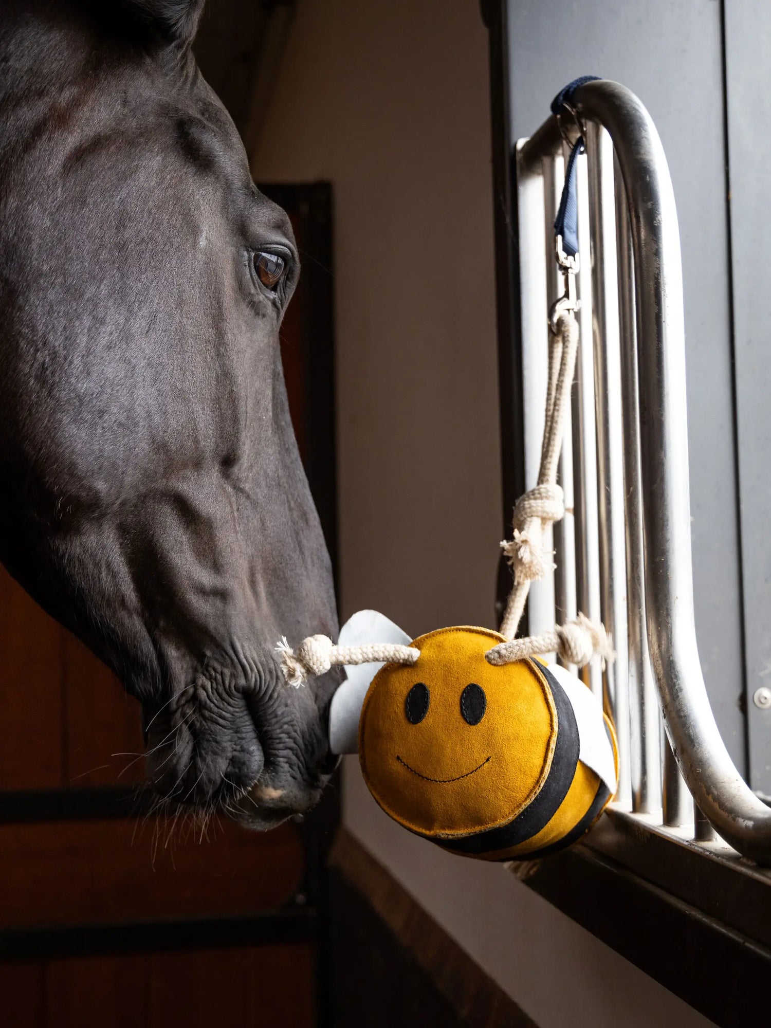 Jouet pour cheval Abeille - LEMIEUX