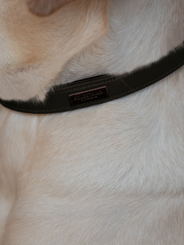 Collier de chien Moonless Night - Equestrian Stockholm