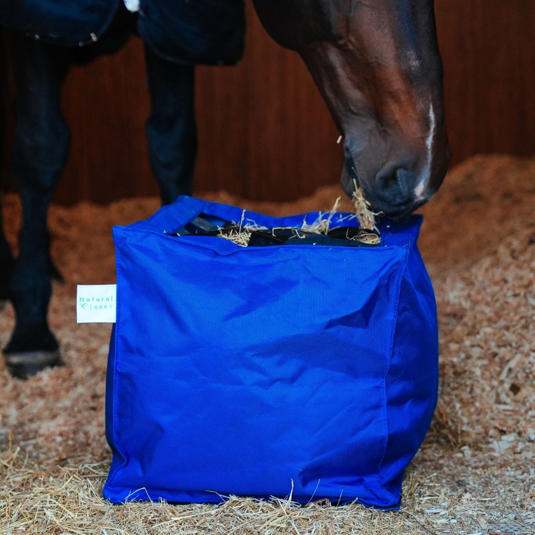 Cube de foin Natural&