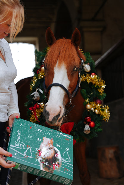 Calendrier de l&