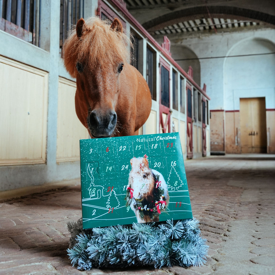 Calendrier de l&