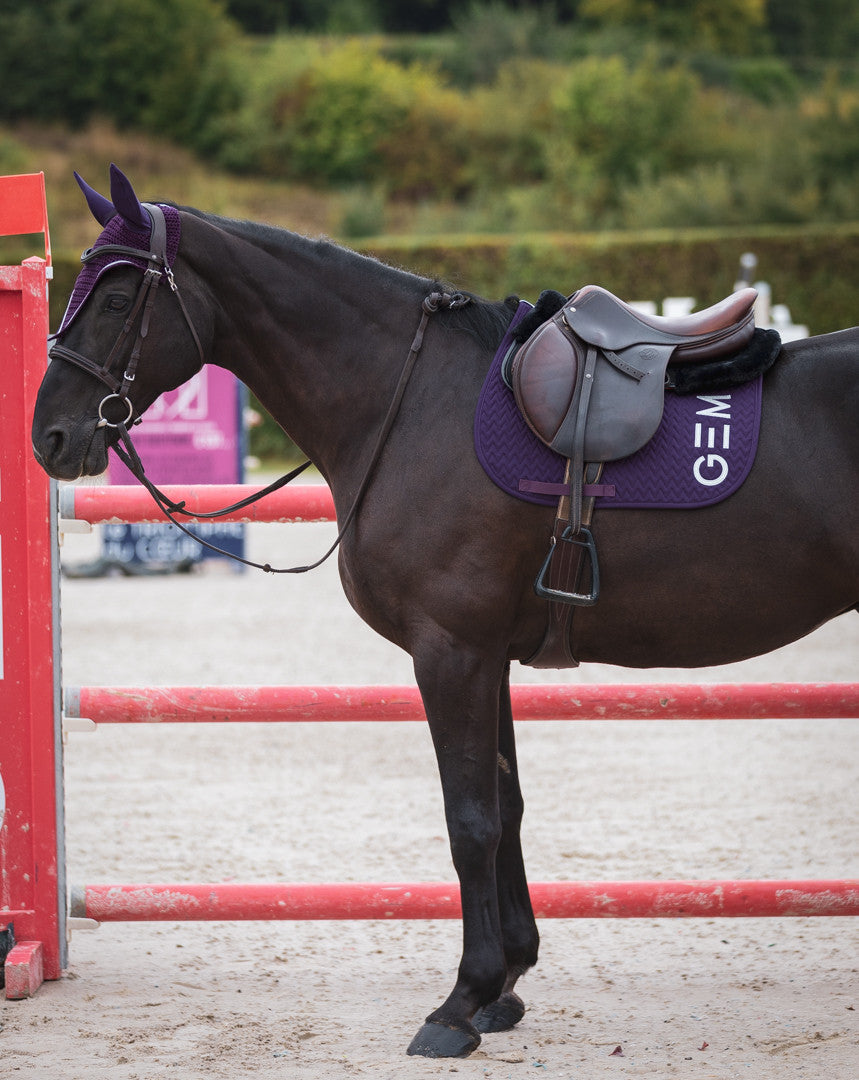 TEN Terracotta saddle pad - GEM