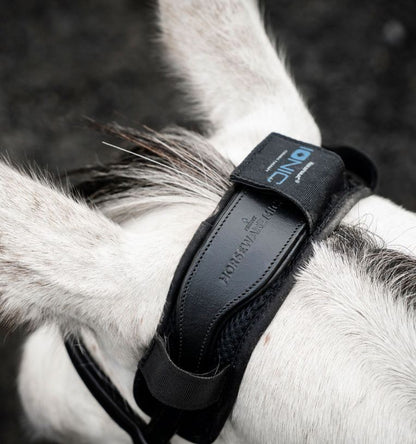 Protège nuque Ionic Therapy - HORSEWARE